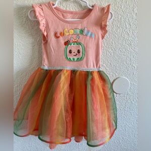 Pink and Multicolor Kids Costume